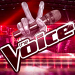"The Voice" : la production veut repenser la mécanique du le télé-crochet de TF1