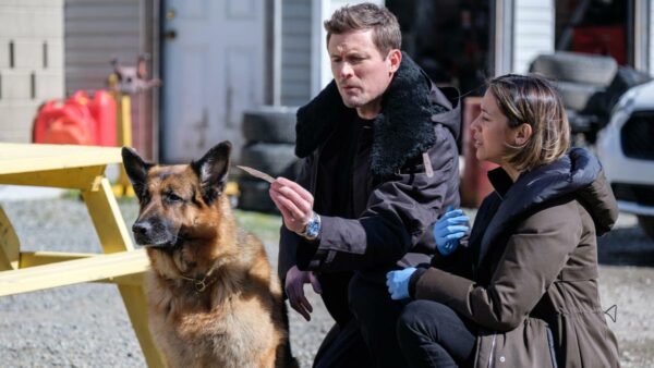 France 3 lance la saison 5 de "Hudson & Rex"