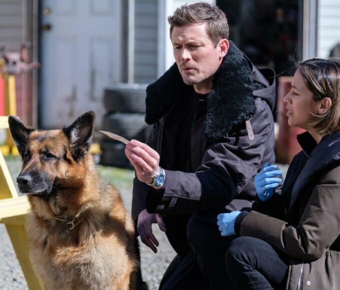 France 3 lance la saison 5 de "Hudson & Rex"