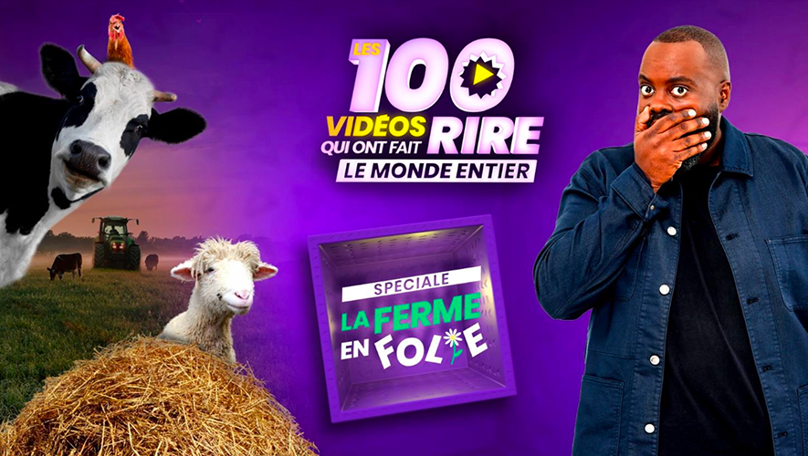 Les 100 vidéos qui ont fait rire le monde entier