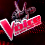 TF1 prépare un documentaire sur les plus belles histoires du programme