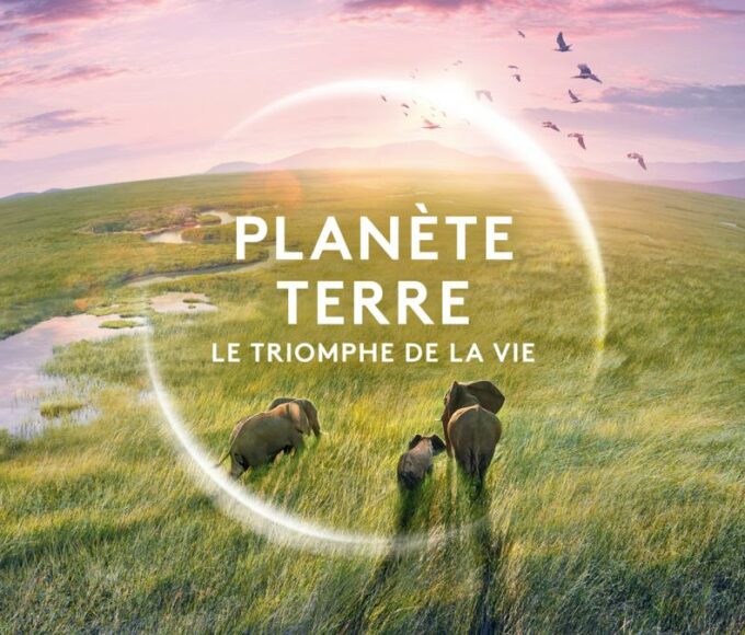 Soirée événement nature sur France 2 le 23 avril 2024 avec le doc "Planète Terre, le triomphe de la vie"