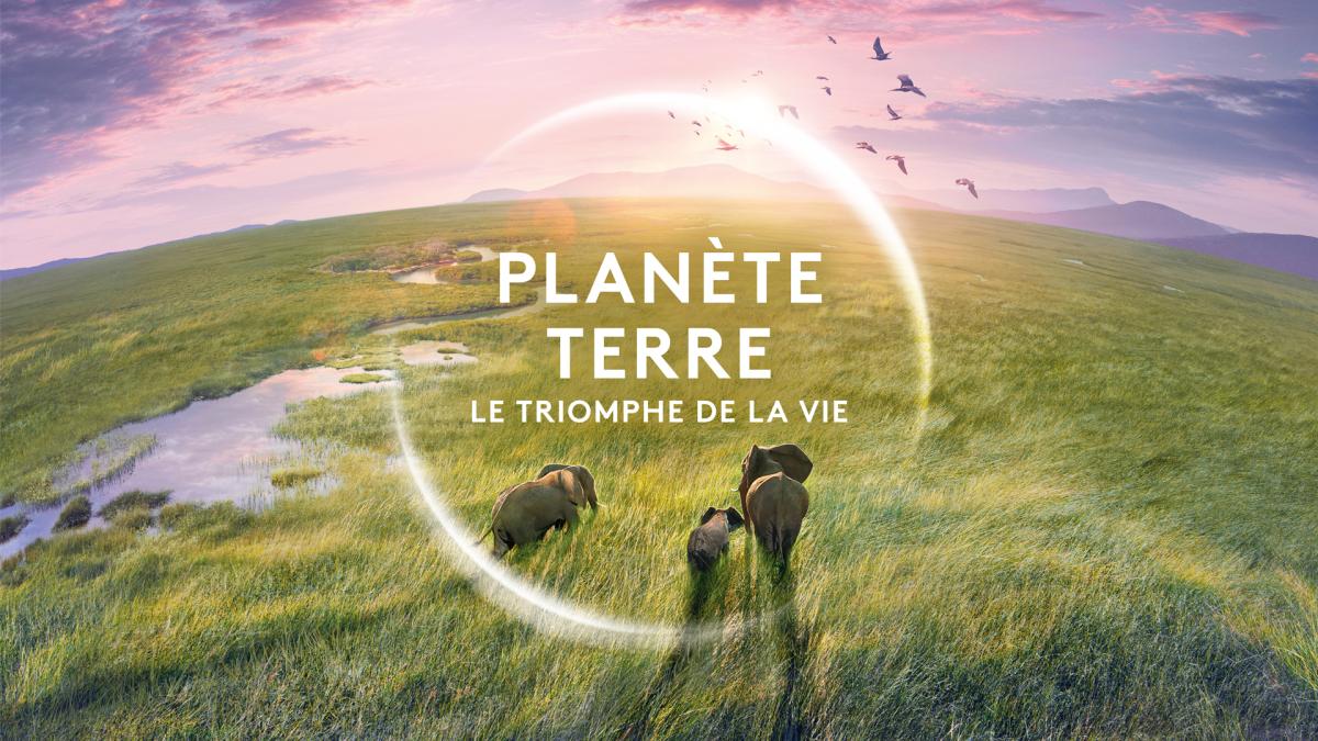 Soirée événement nature sur France 2 le 23 avril 2024 avec le doc "Planète Terre, le triomphe de la vie"